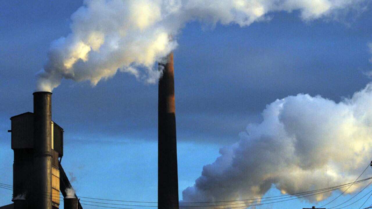 Carbon tax not as bad yet ALP struggling