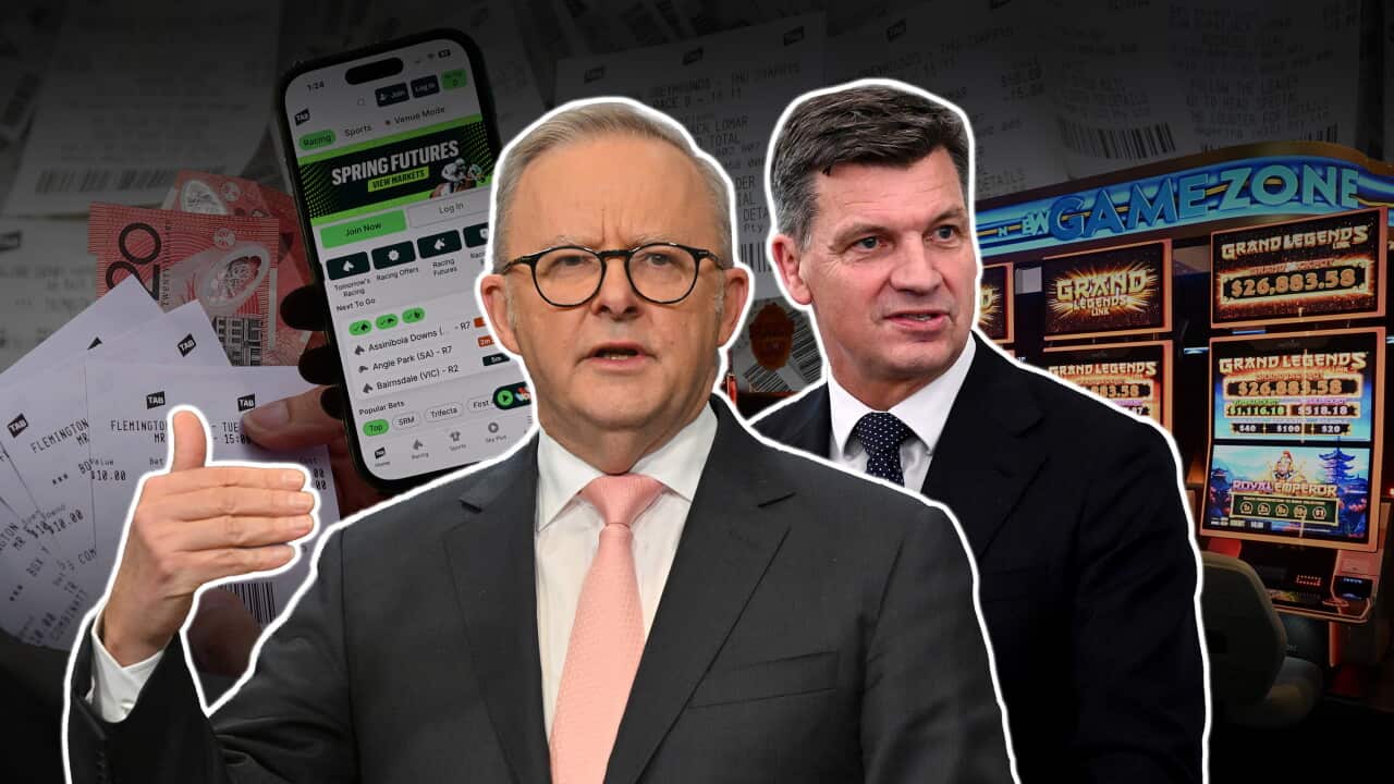 GAMBLING COMPOSITE