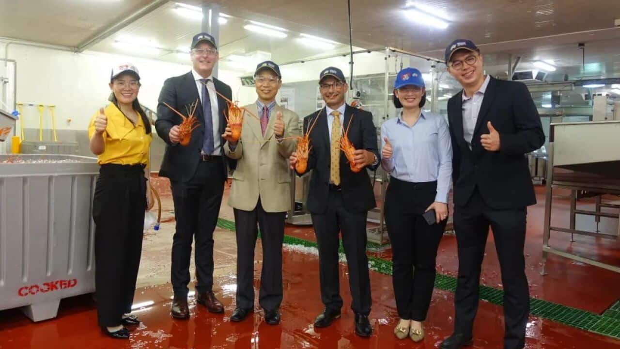 Image for read more article ''