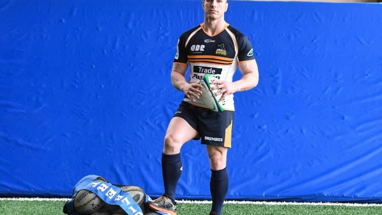 Wallabies player David Pocock
