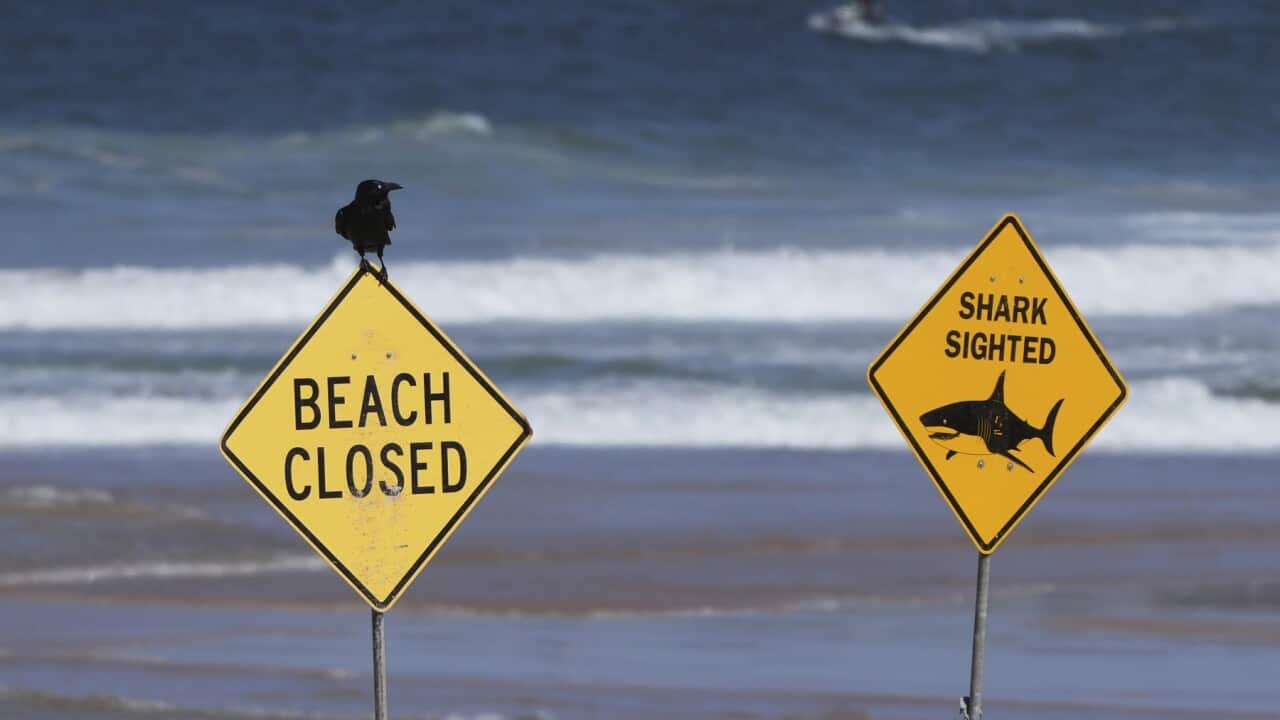 Segnali di chiusura della spiaggia a Dee Why Beach a Sydney.