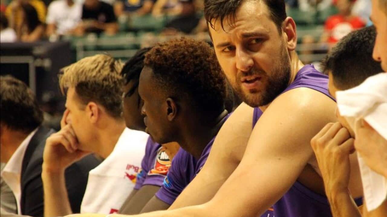 Andrew Bogut