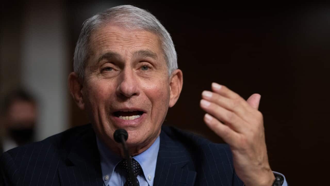 Anthony Fauci, director of National Institute of Allergy and Infectious Diseases.
