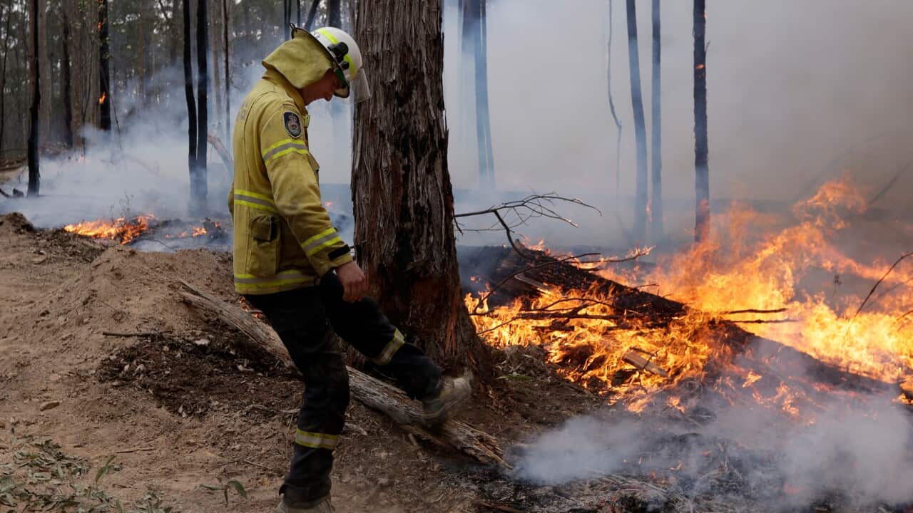 A firefighter kicks at a log while helping to build a containment line at a fire near Bodalla, NSW