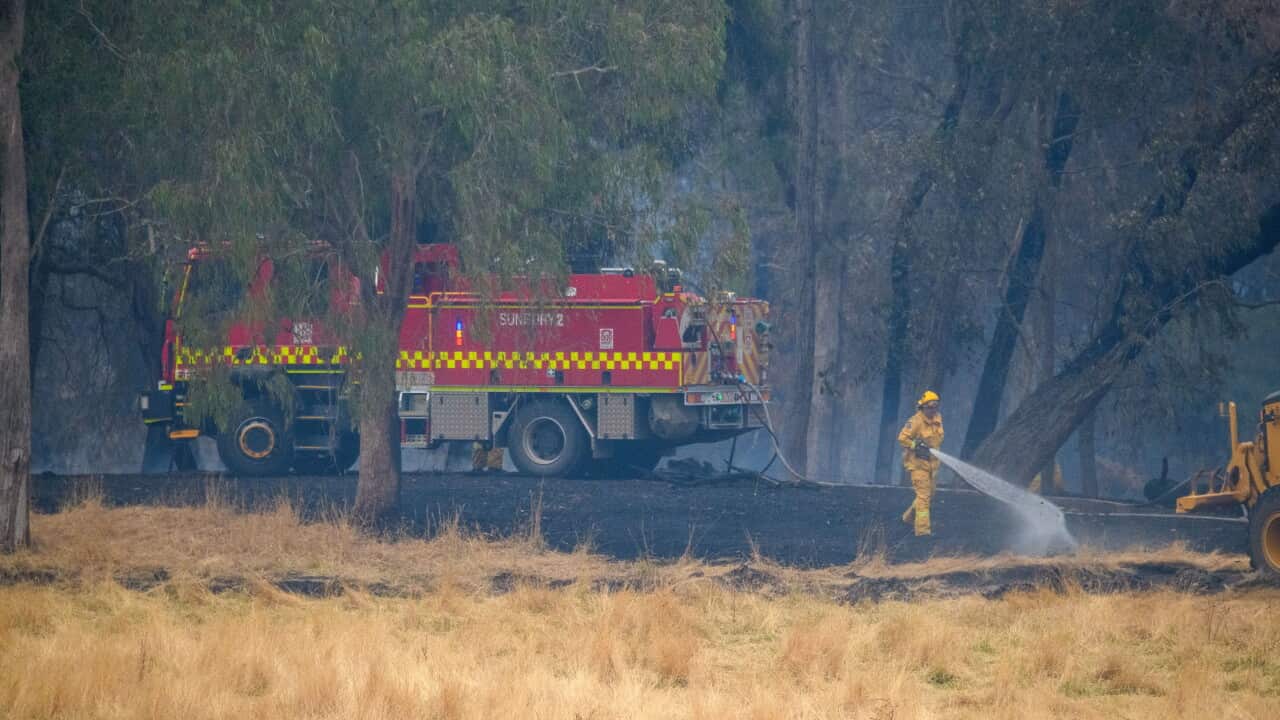 VICTORIA BUSHFIRES