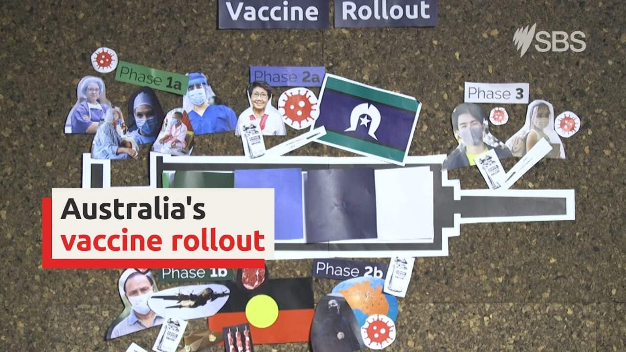 Vaccine rollout