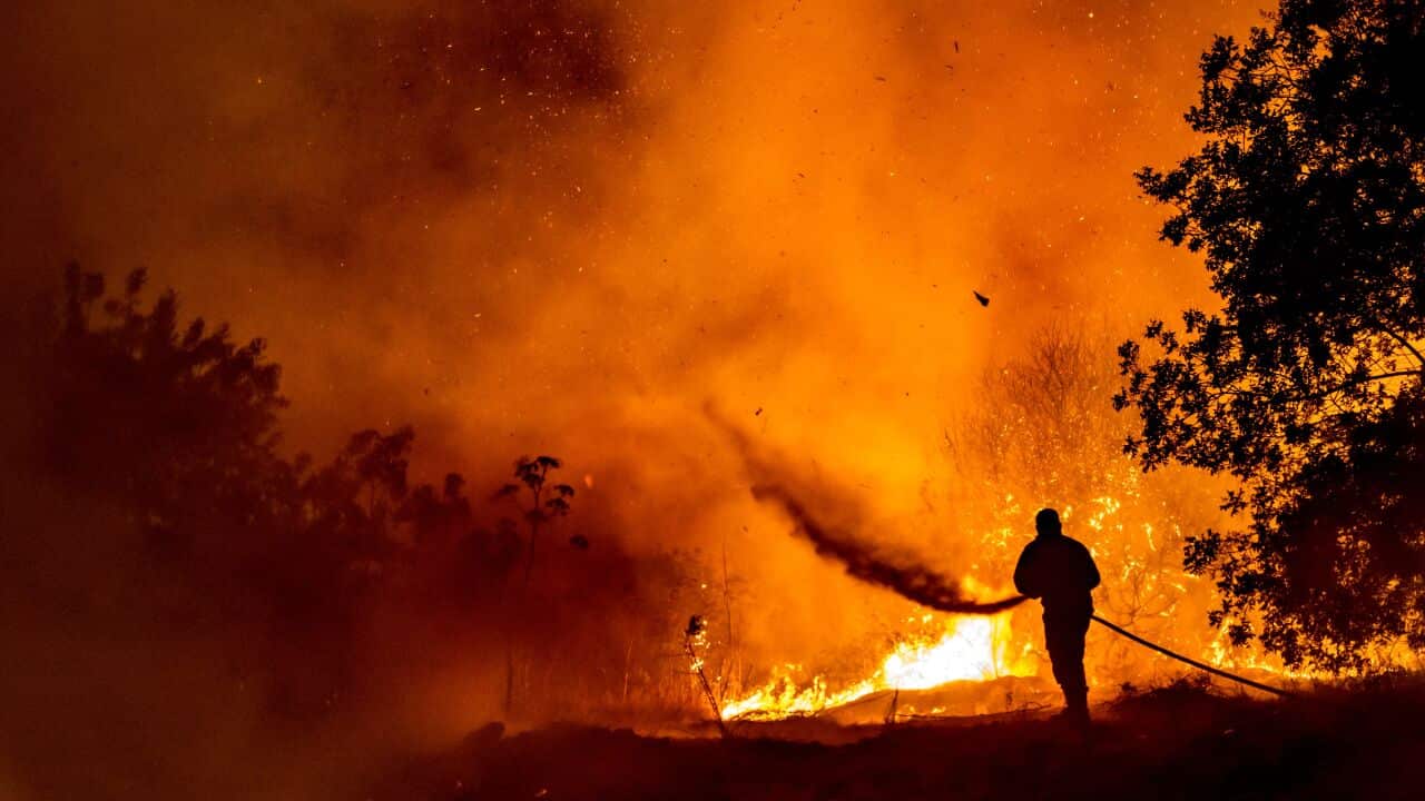 A firefighter battles flames in a forest on the slopes of the Throodos mountain chain, in Cyprus on the night of 3 July, 2021.