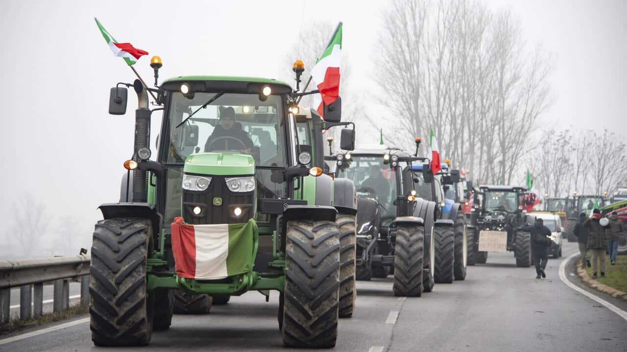 Italy Farmers Protests