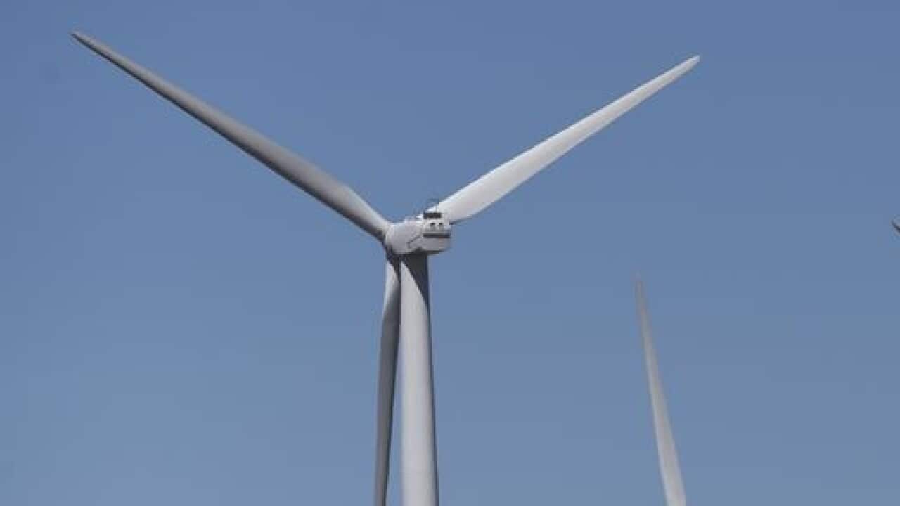 Turbines at a wind farm