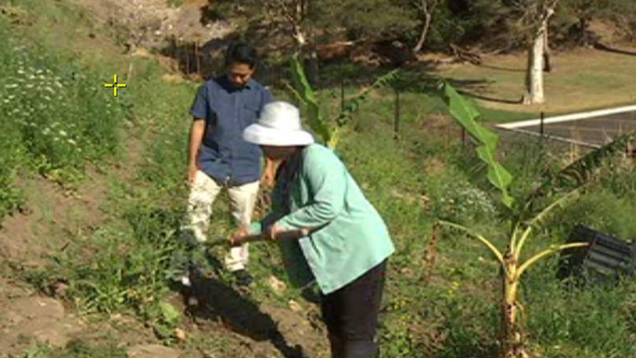 Image for read more article ''