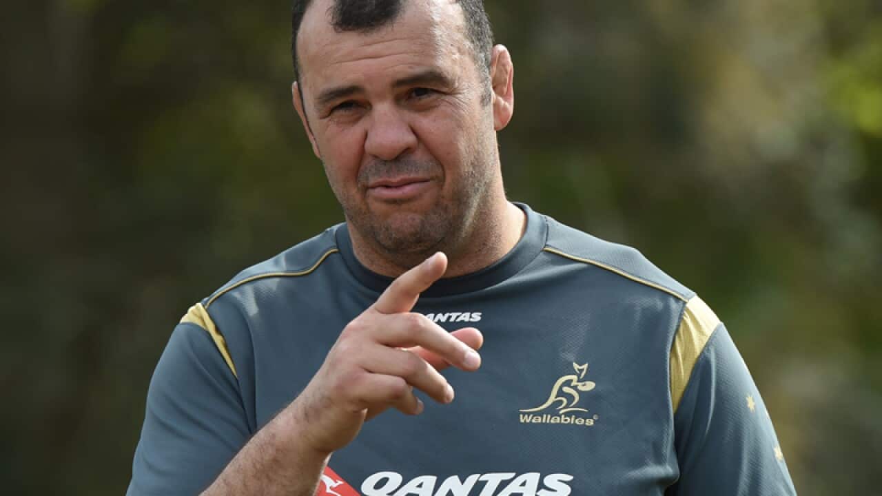 Wallabies coach Michael Cheika