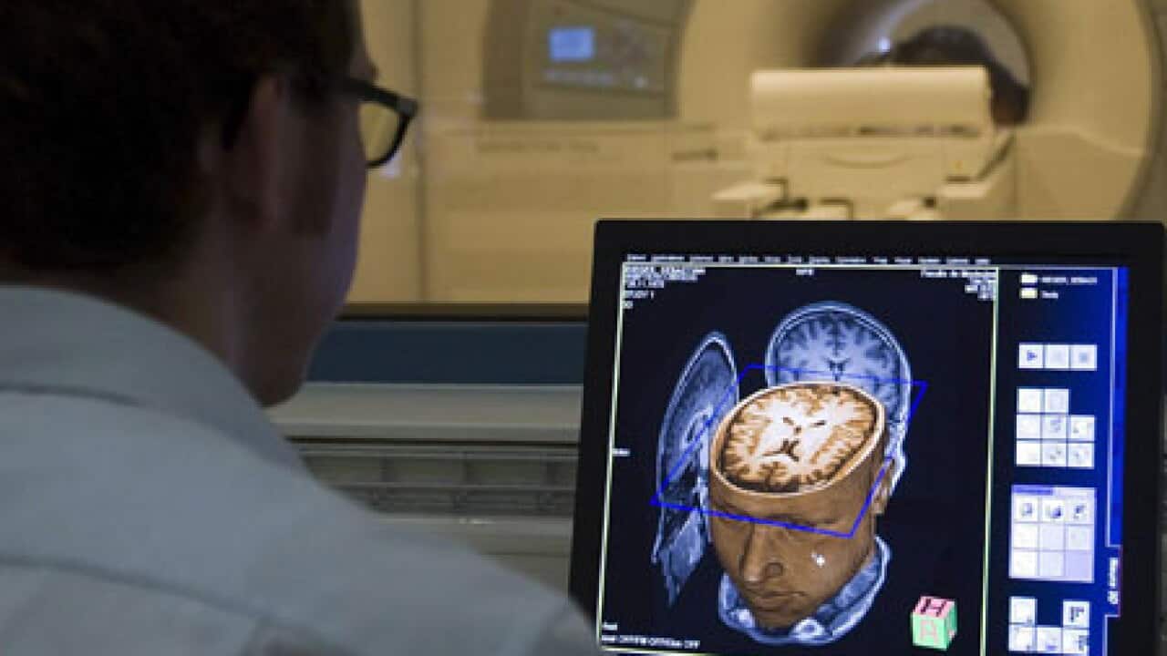 brain_screen_B_1212_aap_1229528305