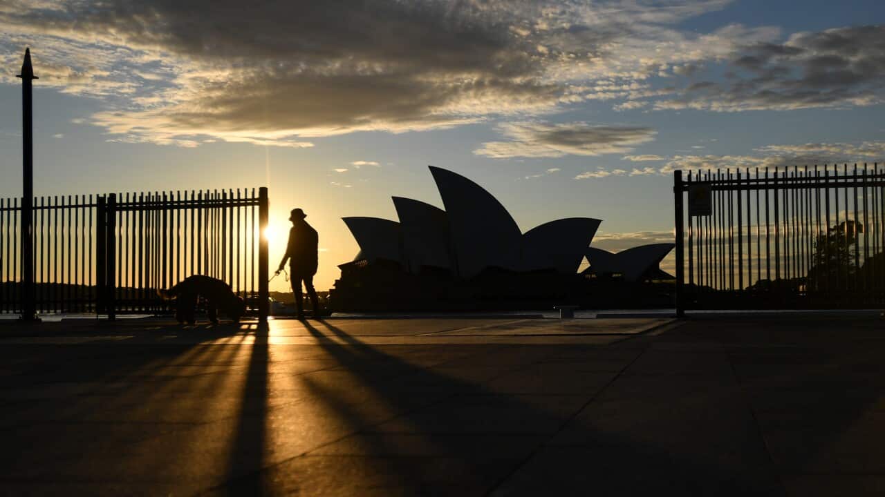 Sydney Opera House at sunrise.