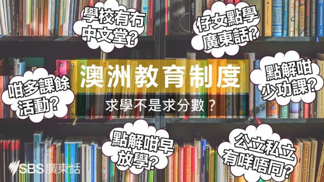 《解「識」澳洲》教育篇:這裡的教育體系與華人傳統觀念大有不同!
