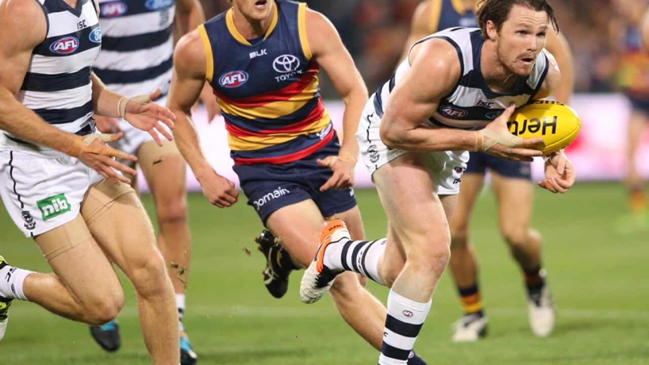 Patrick Dangerfield of the Cats
