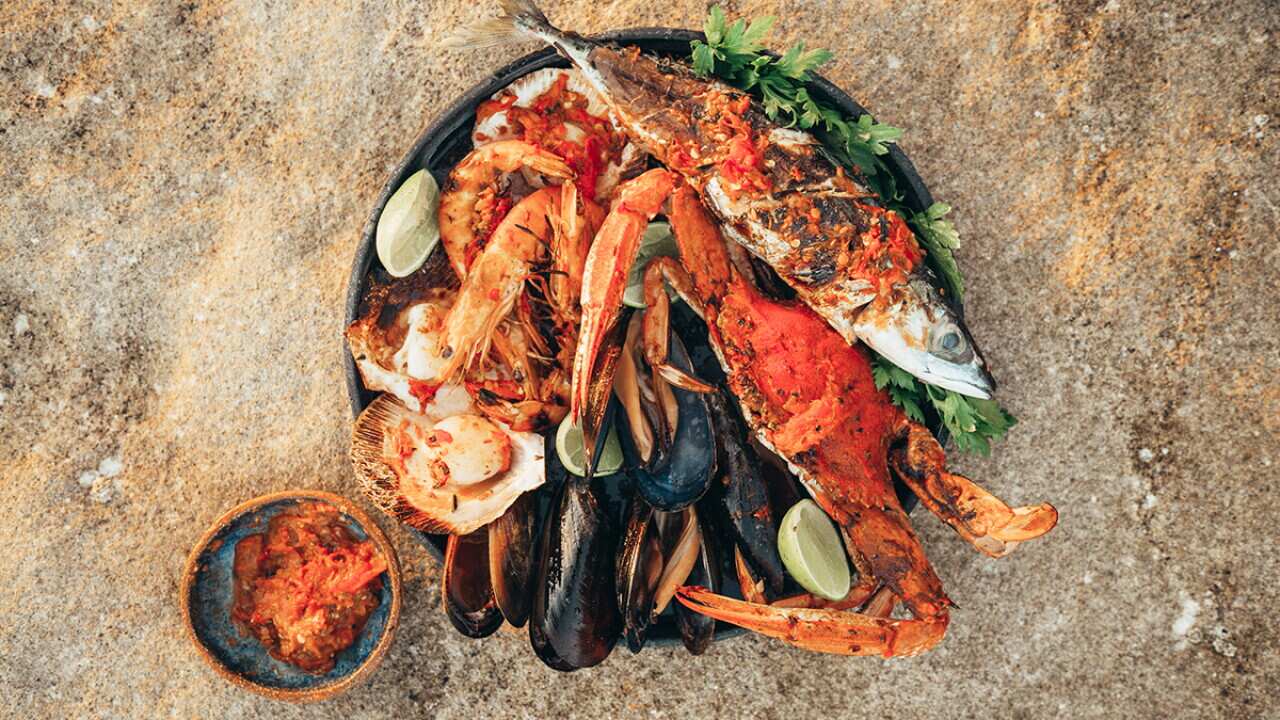 Berkeley Shellfish Marvel over Australia's sensational shellfish bounty | SBS Food