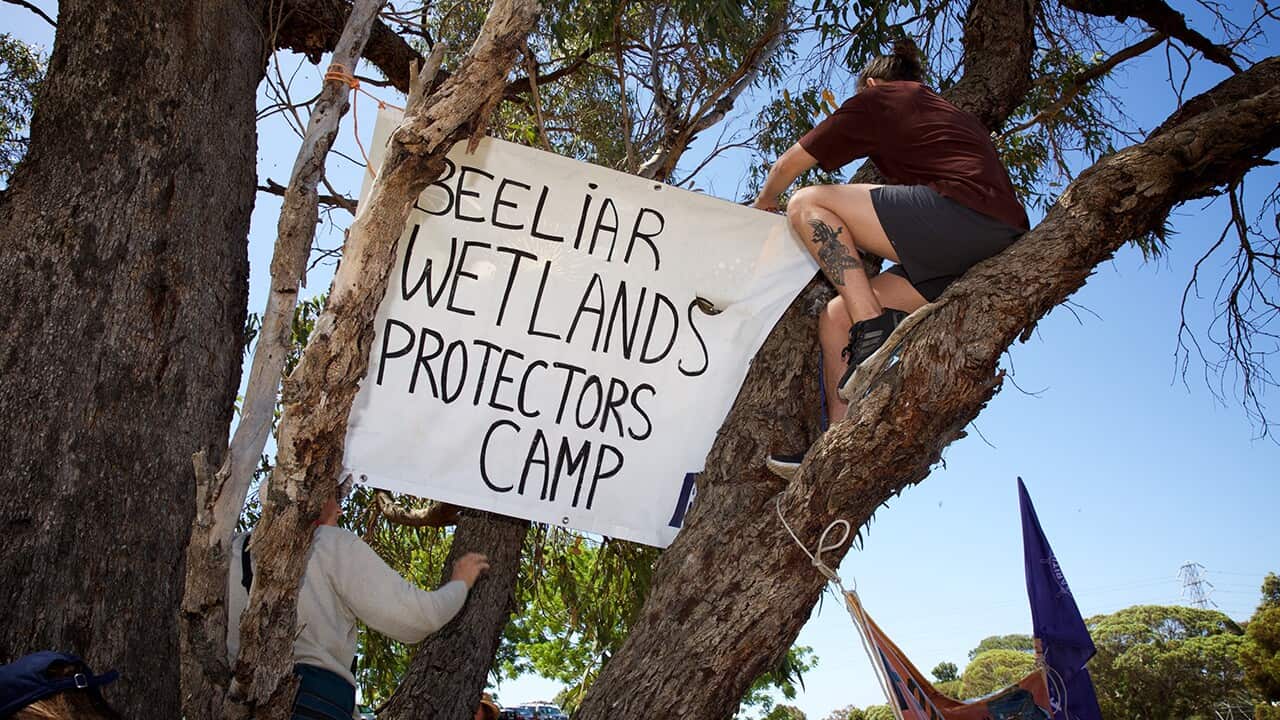 Protesters hang signs at the Beeliar Wetlands Protectors Camp at Bibra Lake in Perth on Wednesday, Dec. 07, 2016. (AAP Image/Richard Wainwright) NO ARCHIVING