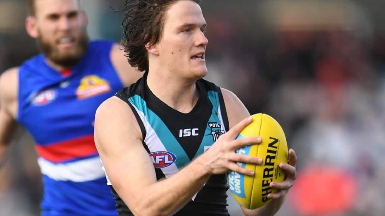 Jared Polec