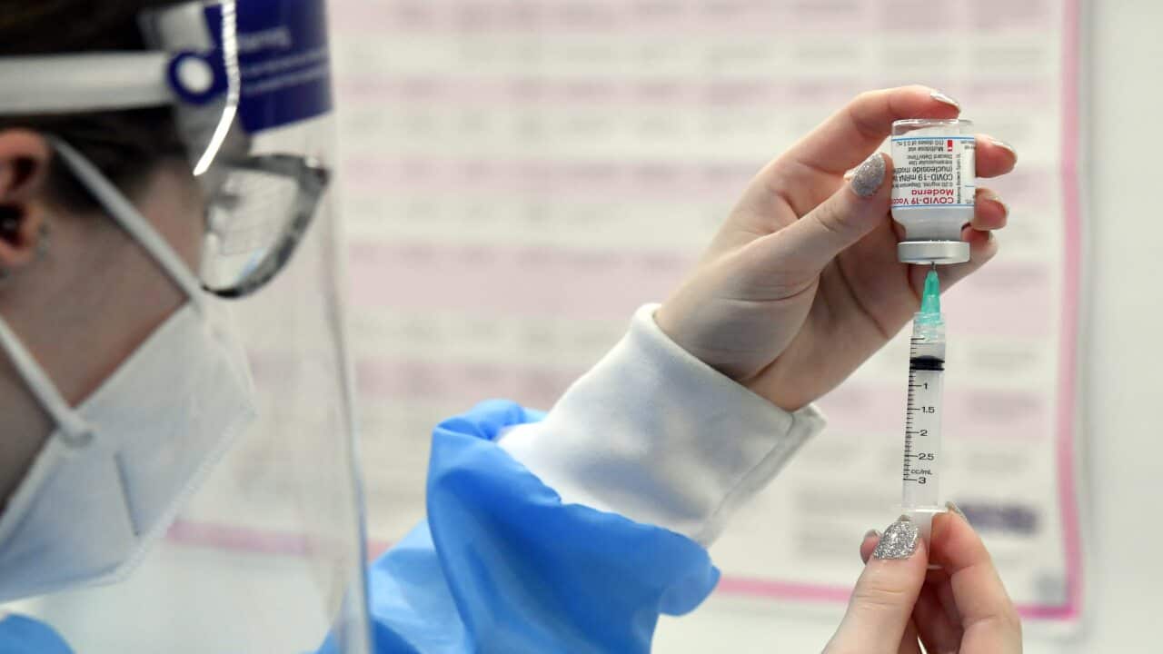 Pharmacist Chloe Langfield loads up injections of the Moderna COVID-19 vaccine at Cooleman Court Pharmacy in Canberra.