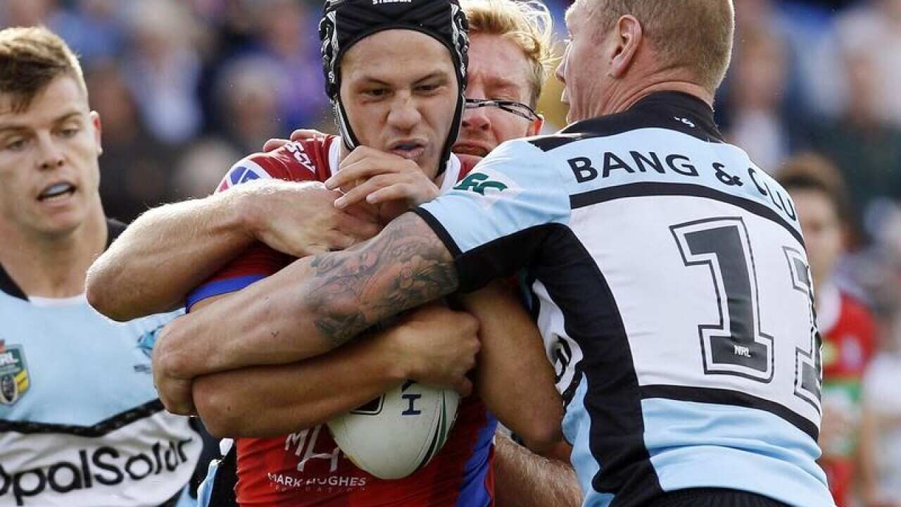Ponga