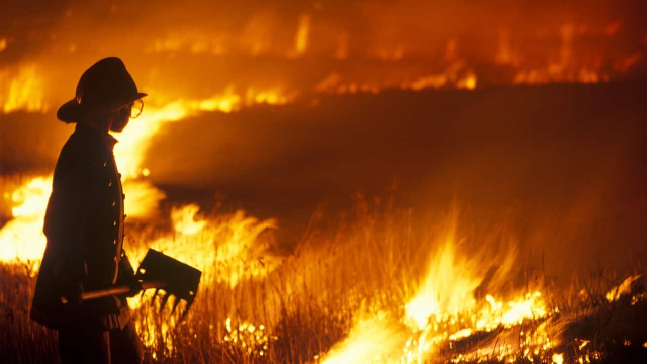Australian bushfire firefighter