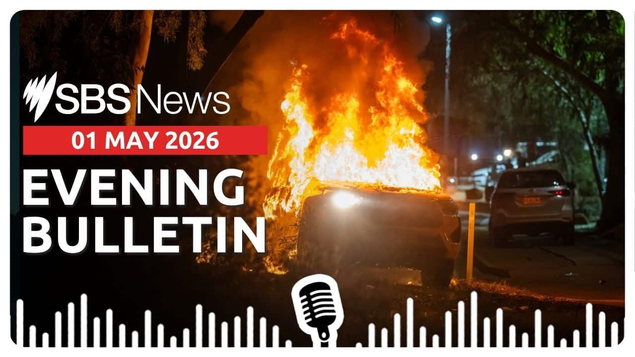 Evening News Bulletin, 1 May 2026.
