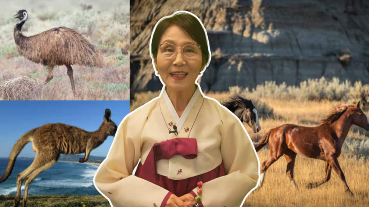 Image for read more article 'READ MORE'