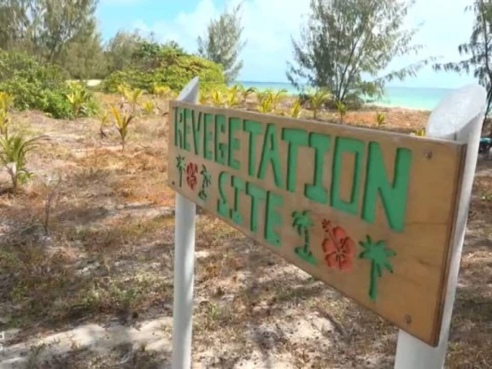 On this Torres Strait island, rising seas are washing away more than just land.