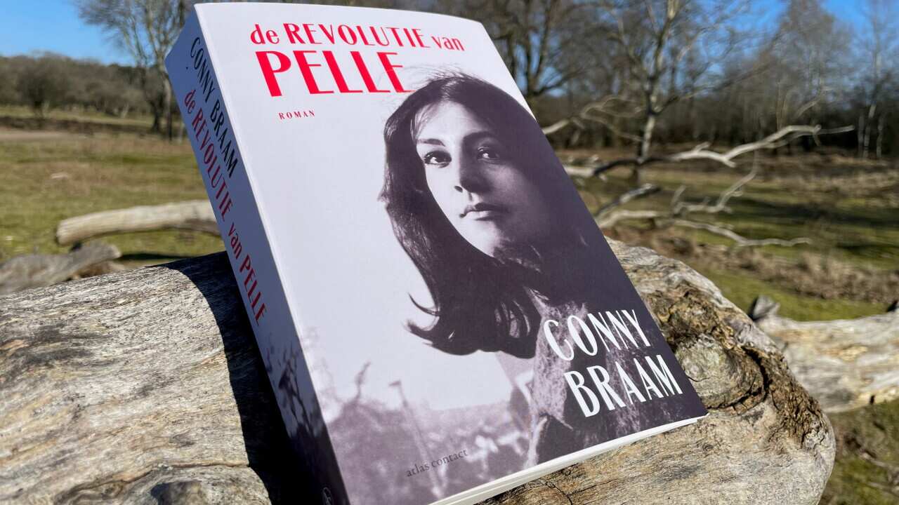 Boek De Revolutie van Pelle