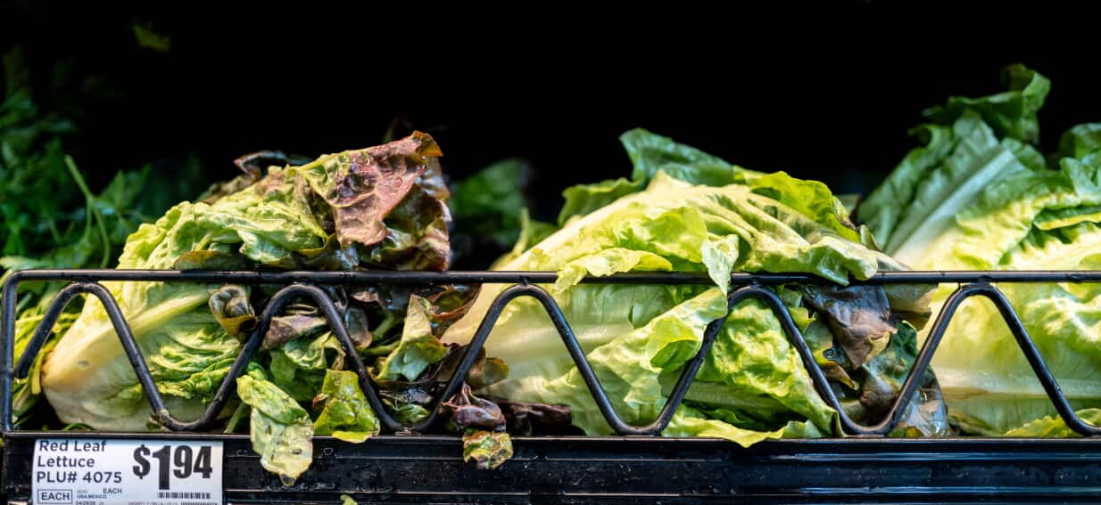 Lettuce, Taco Bell, and 7,000 cases: An 'explosive' problem is ripping through the US