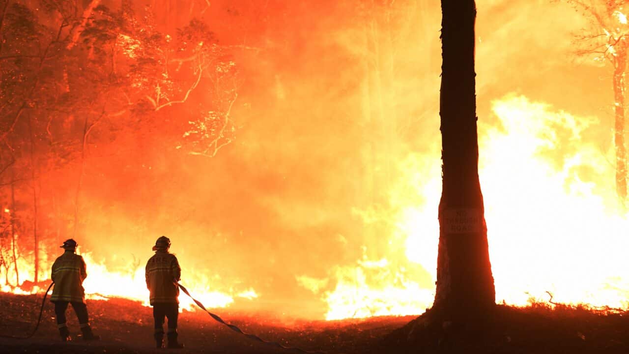 Image for read more article ''