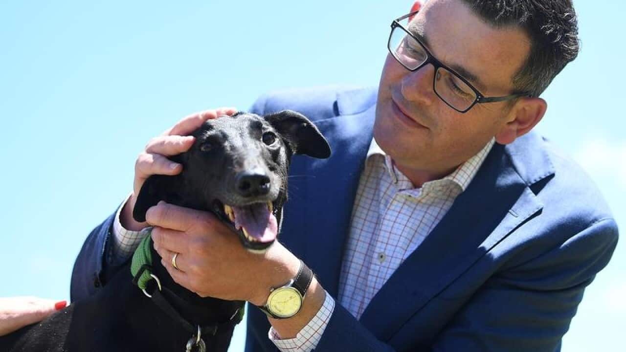 Daniel Andrews is seen with a greyhound