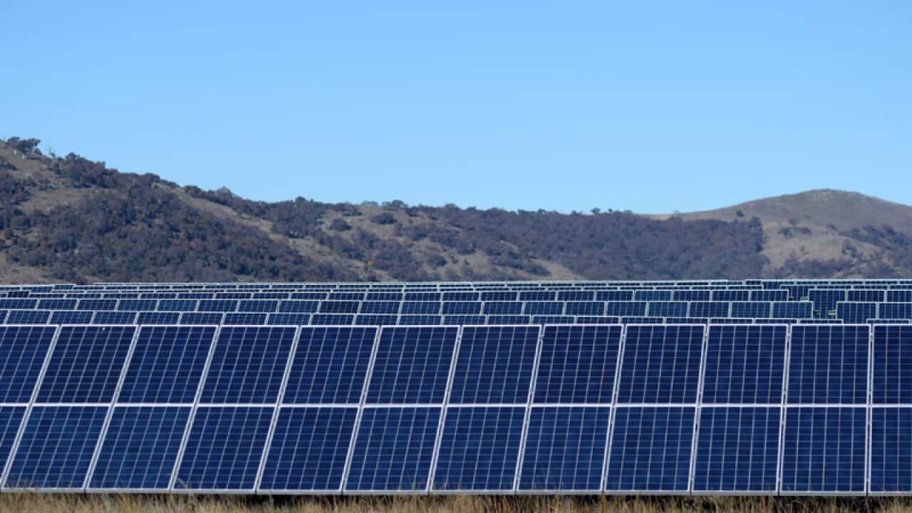 The Royalla Solar Farm near Canberra