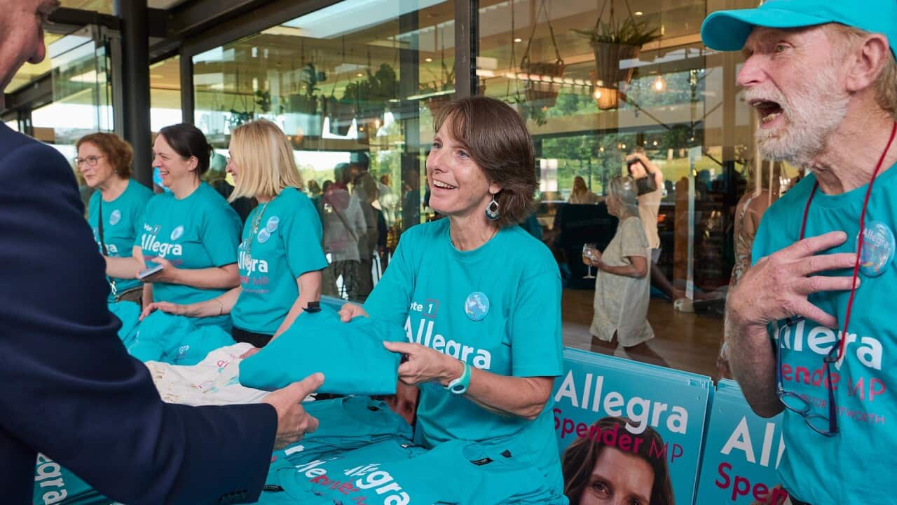 ALLEGRA SPENDER CAMPAIGN LAUNCH