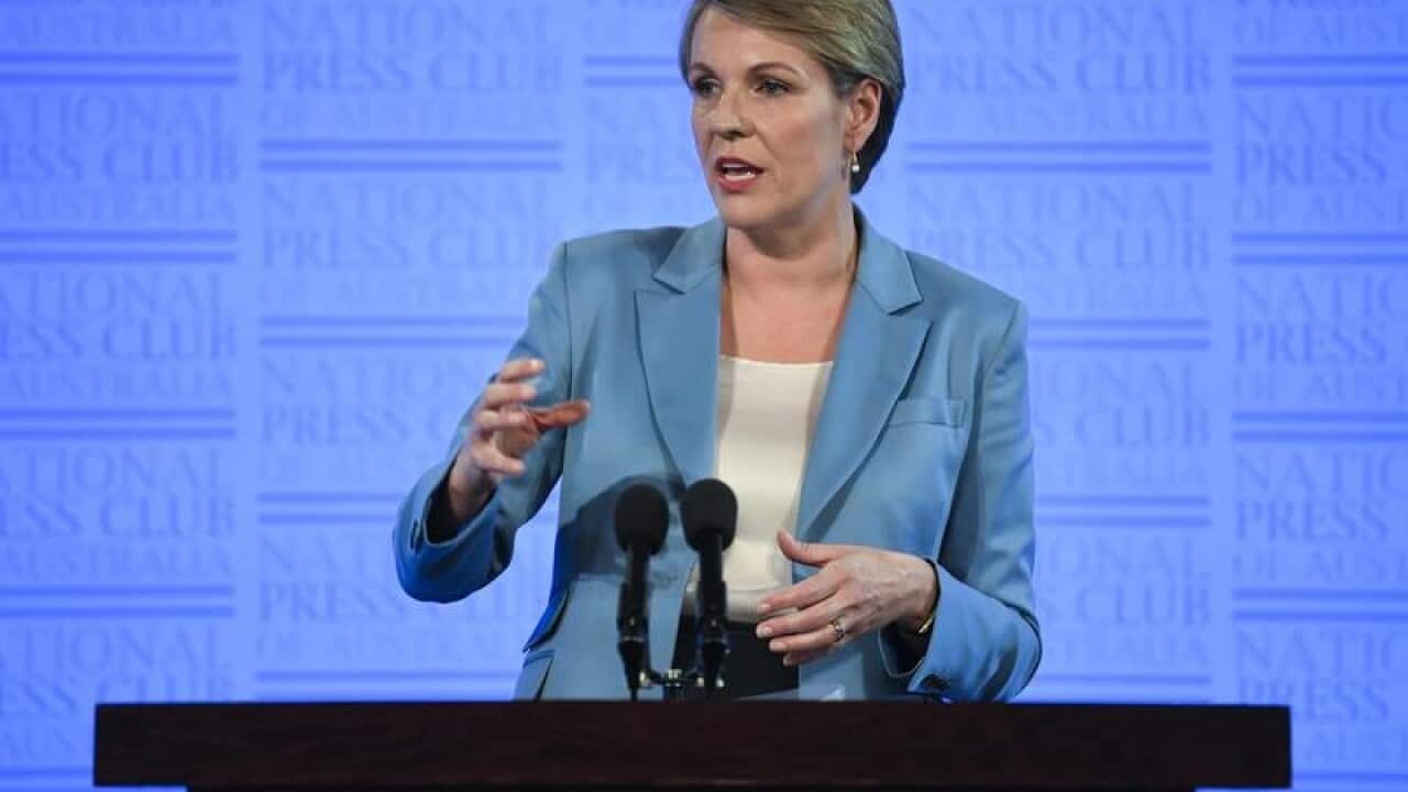 Tanya Plibersek