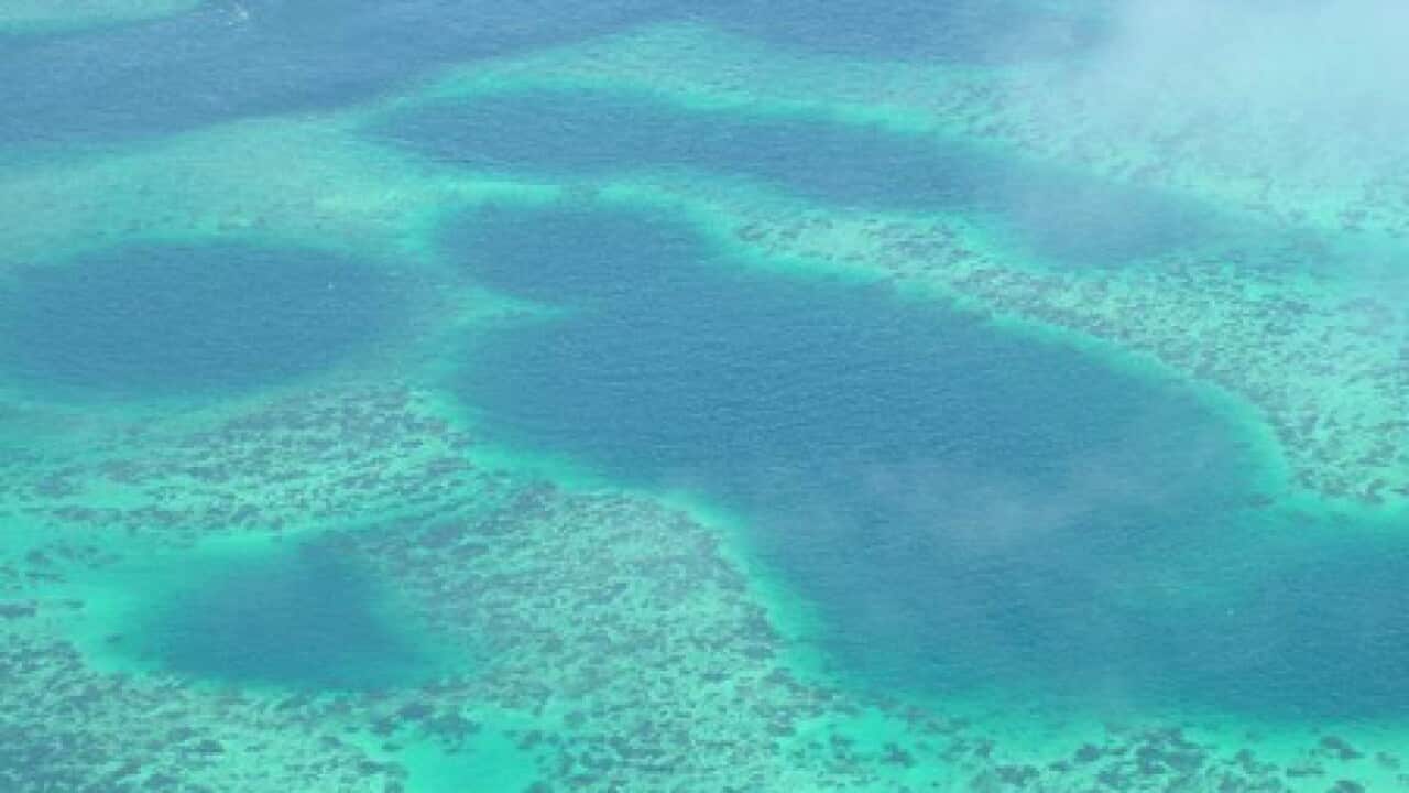 torres_strait_coral_100702_B_grantphilips_panoramio_595672834