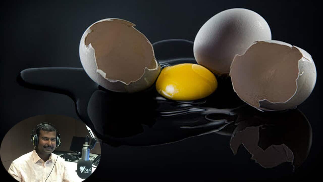 Egg