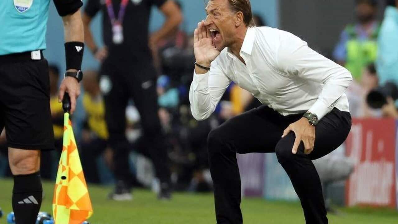 Herve Renard EPA Photo.jpg