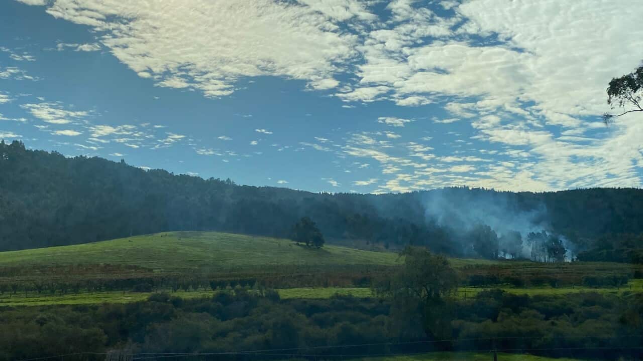 Nannup, a regional city in Western Australia believe to be the extinct Tasmanian Tiger was habited