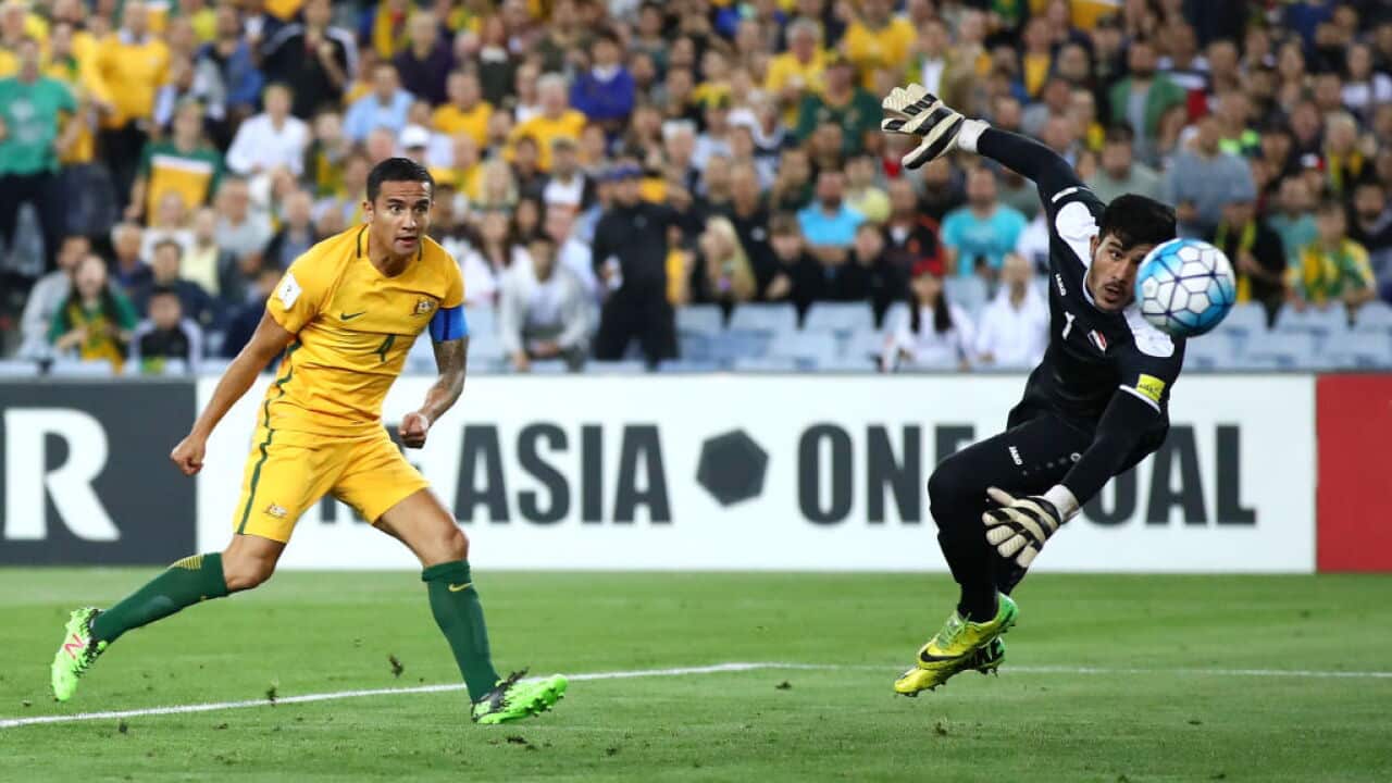 Tim Cahill