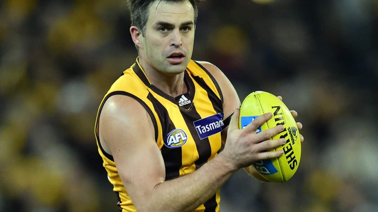 Hawthorn defender Brian Lake