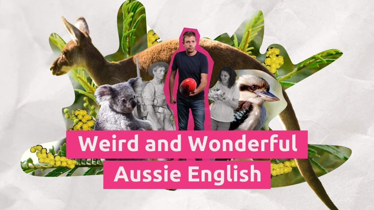weird and wonderful ausie english - site image.jpg