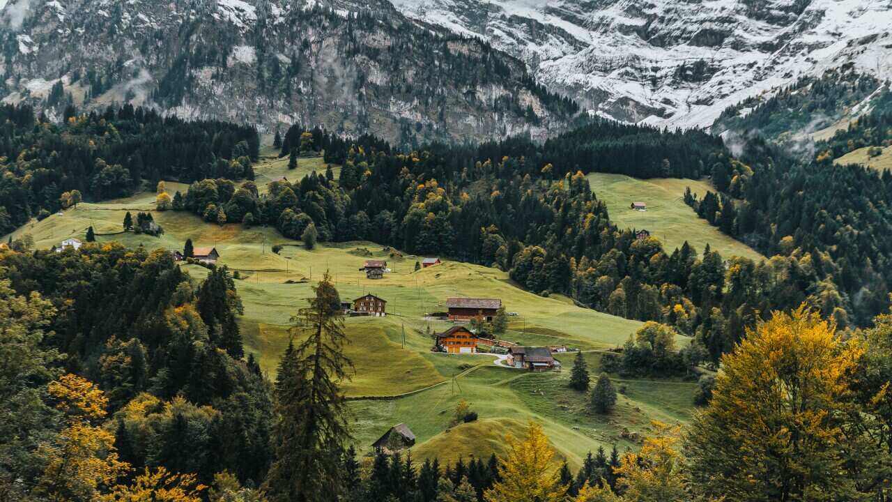 Image for read more article ''