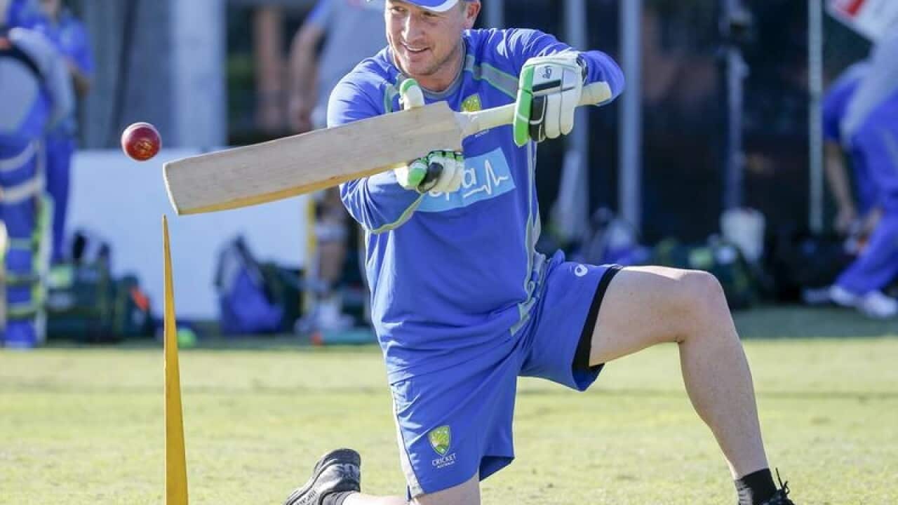 Brad Haddin
