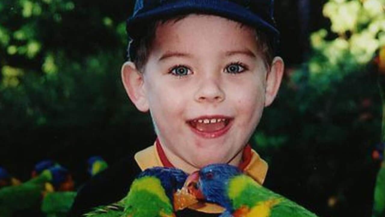 Daniel Morcombe (file image)