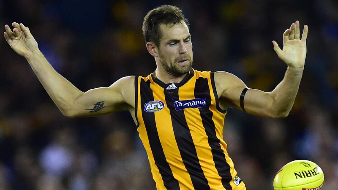 Hawthorn Hawks player Luke Hodge.