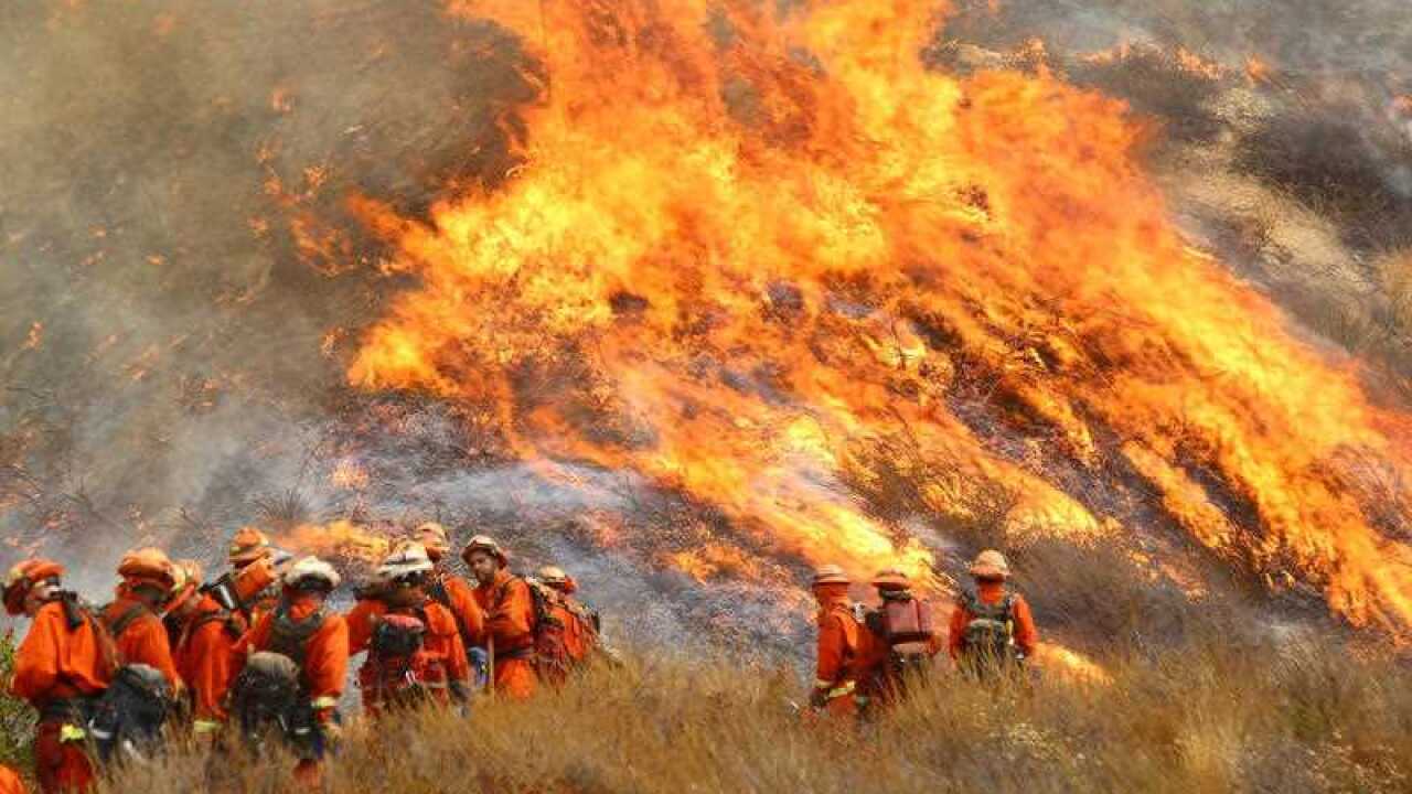 A crew with California Department of Forestry and Fire Protection (Cal Fire) battles "La Tuna" brushfire on the hillside in Burbank, Calif., Saturday, Sept. 2.