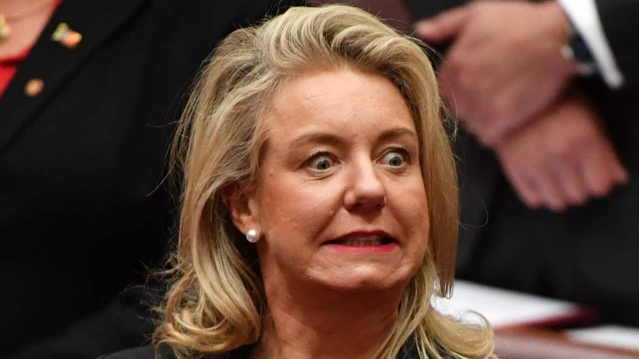 Minister for Agriculture Bridget McKenzie in the Senate chamber.