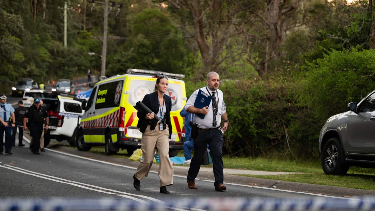 FATAL STABBING BLUE MOUNTAINS