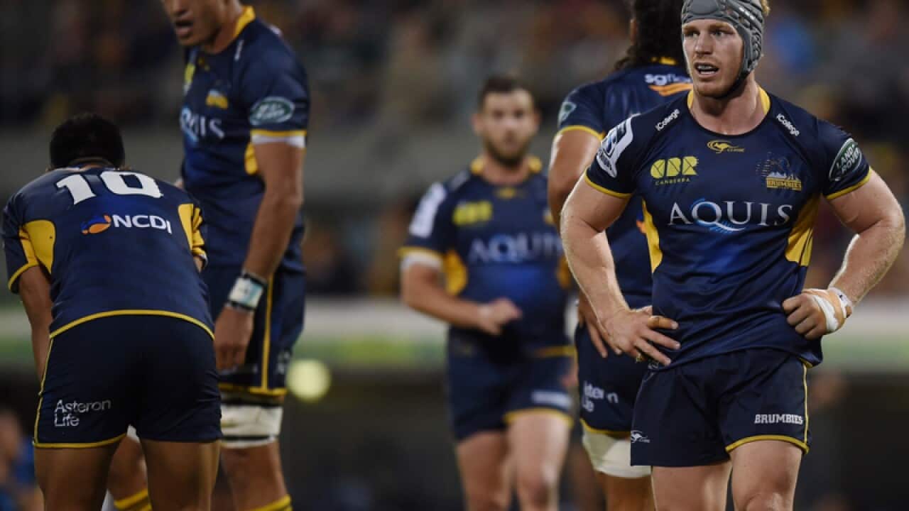 ACT Brumbies players